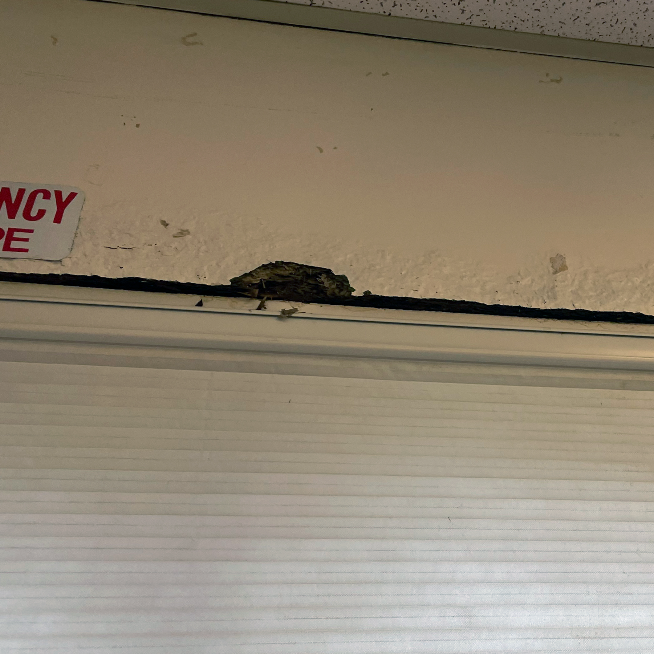 Example of leak damage