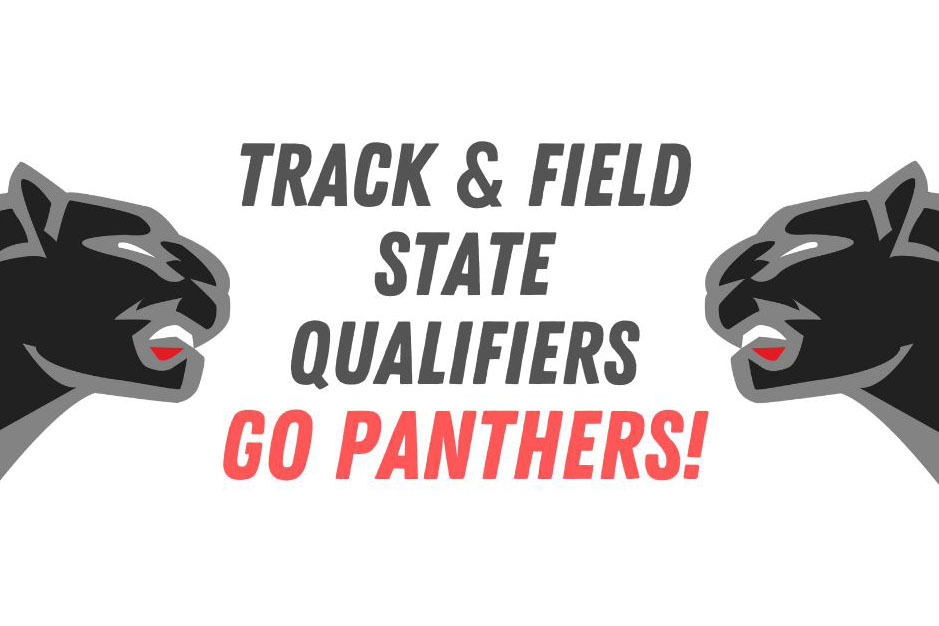 panthers logo